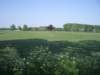 welpenkamp2008007_small.jpg