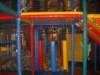 welpenkamp2008042_small.jpg